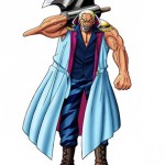 one piece romance dawn 3ds 04