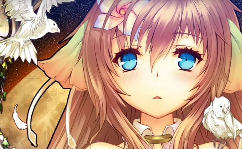 ciel no surge cover