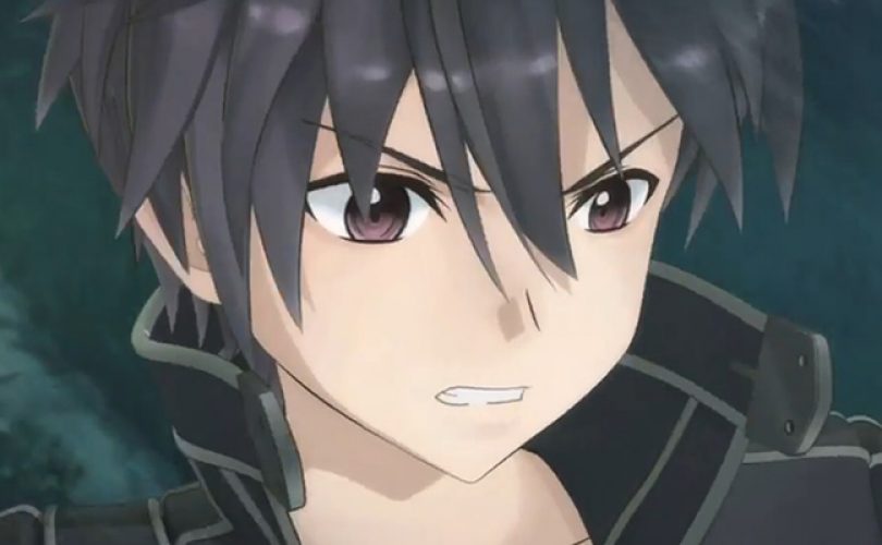 sword art online hollow fragment cover