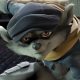 sly cooper movie cover