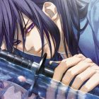 hakuoki stories of the shinsengumi cover