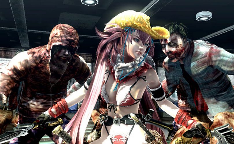 onechanbara z cover
