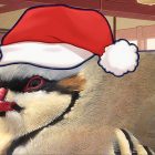 Hatoful Boyfriend: Holiday Star, il trailer di lancio europeo