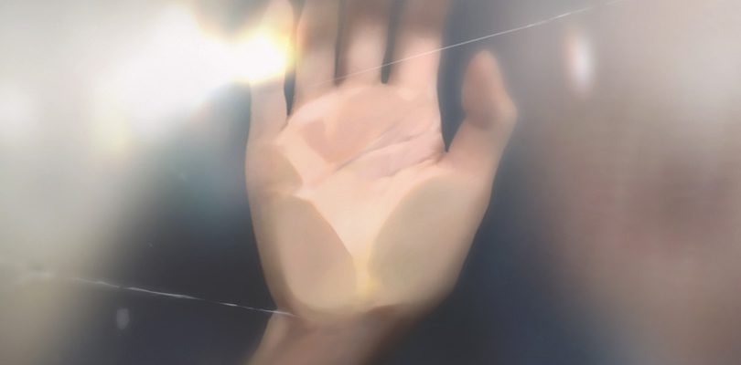 Project Palm