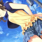 Himawari – The Sunflower