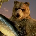 TEKKEN 7 - Kuma