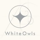Hidetaka "Swery" Suehiro - White Owls