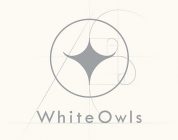 Hidetaka "Swery" Suehiro - White Owls