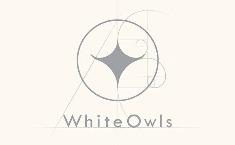 Hidetaka "Swery" Suehiro - White Owls