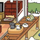Neko Atsume VR