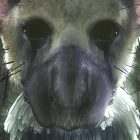 The Last Guardian VR Demo