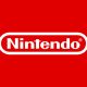 Nintendo custodia