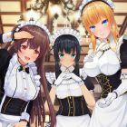 CUSTOM ORDER MAID3D2
