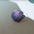 Code Geass: Lelouch of the Resurrection