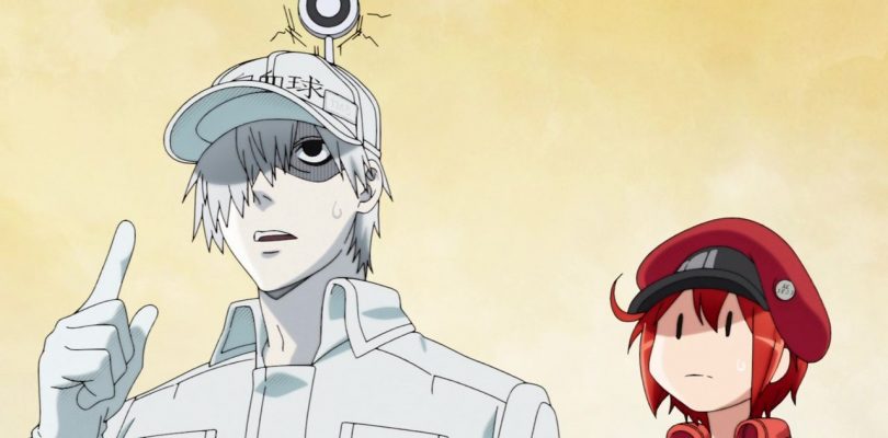 Cells at Work