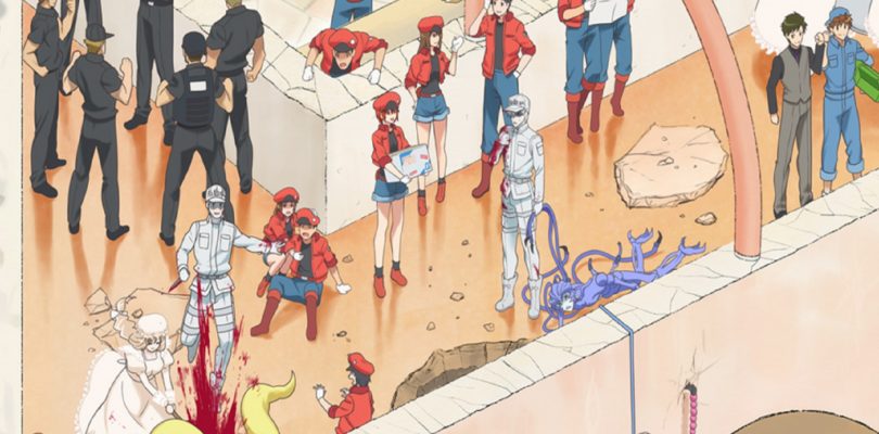 Cells at Work!