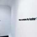 PlatinumGames