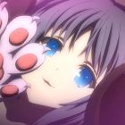 I video di DEAD OR ALIVE e SENRAN KAGURA stanno venendo nascosti da YouTube