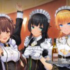 CUSTOM ORDER MAID 3D2 It’s a Night Magic
