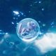 Pokémon the Movie: Mewtwo Strikes Back EVOLUTION