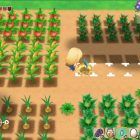 STORY OF SEASONS: Friends of Mineral Town
