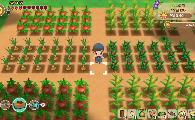 Story of Seasons: Reunion in Mineral Town