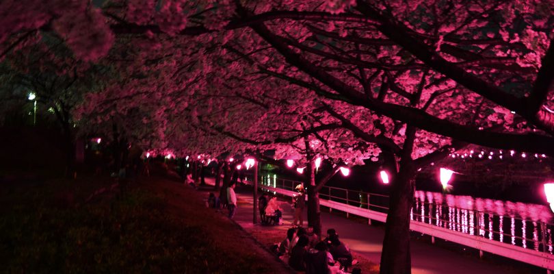 Hanami