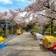 Il parco di Ueno così vuoto non si era mai visto
