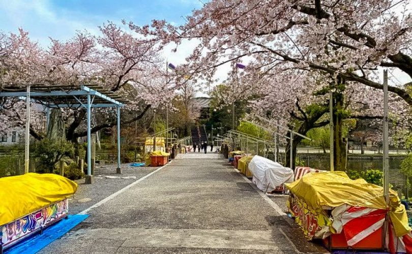 Il parco di Ueno così vuoto non si era mai visto