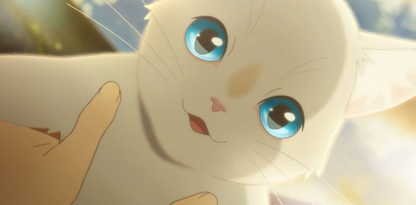 Il film anime A Whisker Away arriva su Netflix in tutto il mondo