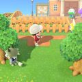 Animal Crossing: New Horizons - Guida: come modificare il terreno