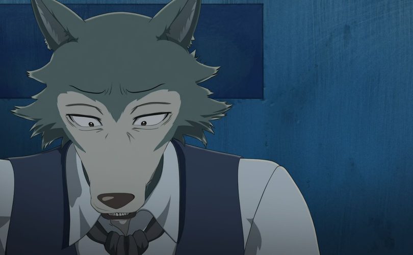 Legoshi protagonista di BEASTARS