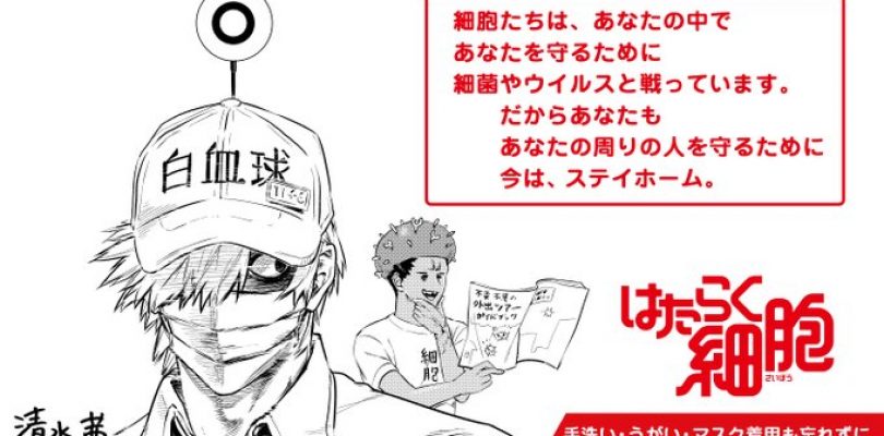 Cells at Work!