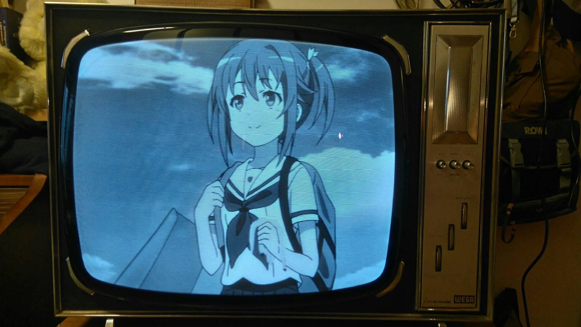 Intervista a Mr. Braun, admin di I put waifus on a vintage TV
