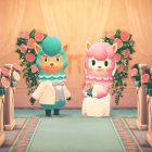 Animal Crossing