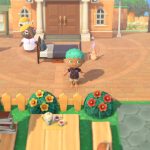 Animal Crossing: New Horizons