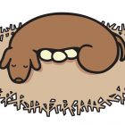 HAL Laboratory