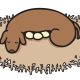 HAL Laboratory