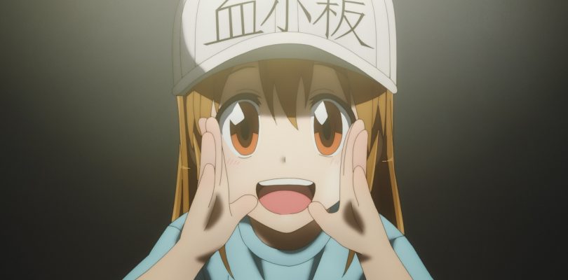Cells at Work!