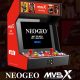 MVSX Home Arcade