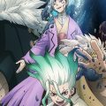 Dr. Stone