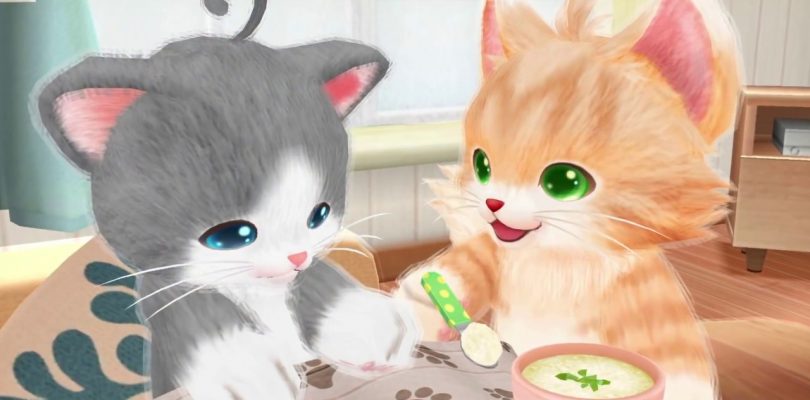 Neko Tomo