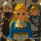 Link, mi sembri perplesso...