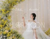 Sailor Moon Wedding