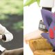 Pokémon Bianco e Nero: aperti i pre-order per la figure di N e Zorua