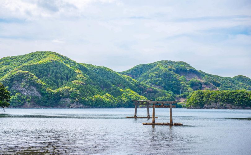 Giappone: enorme successo per la raccolta fondi destinata al torii di Tsushima