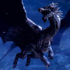 MONSTER HUNTER RISE