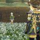 MONSTER HUNTER STORIES 2