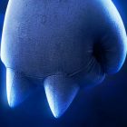 SONIC 2: Idris Elba sarà Knuckles nel secondo film
