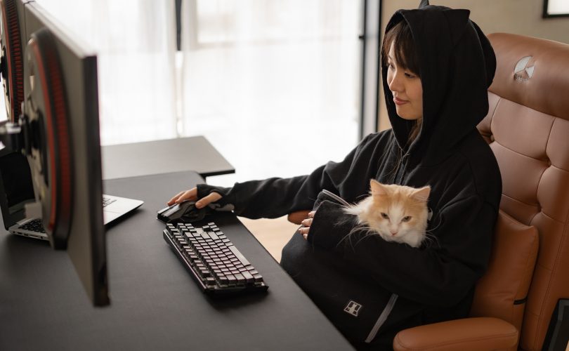 Dal Giappone arriva la felpa per gamer possessori di gatti